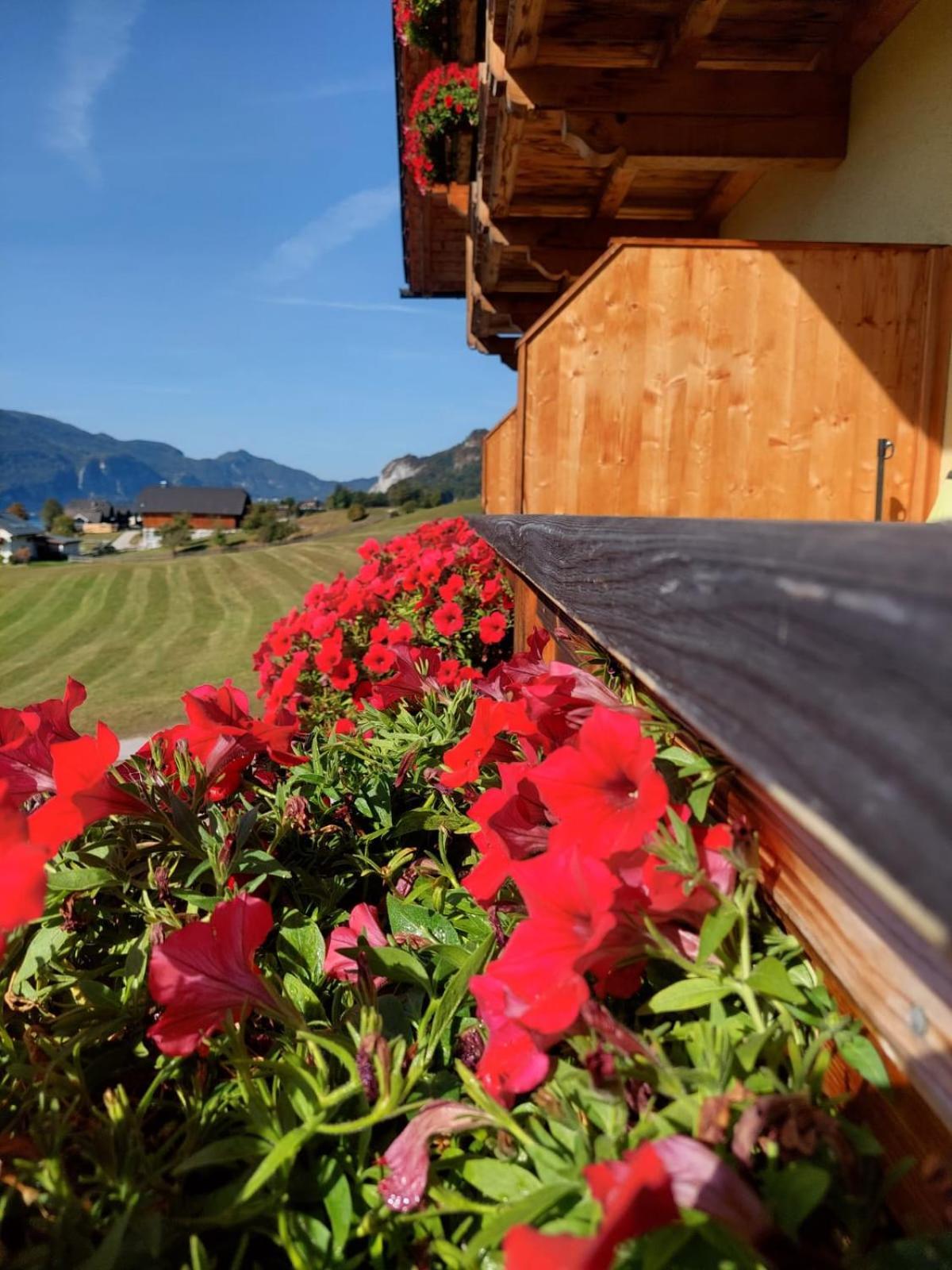 Haus Hoedlmoser Sankt Wolfgang im Salzkammergut ภายนอก รูปภาพ