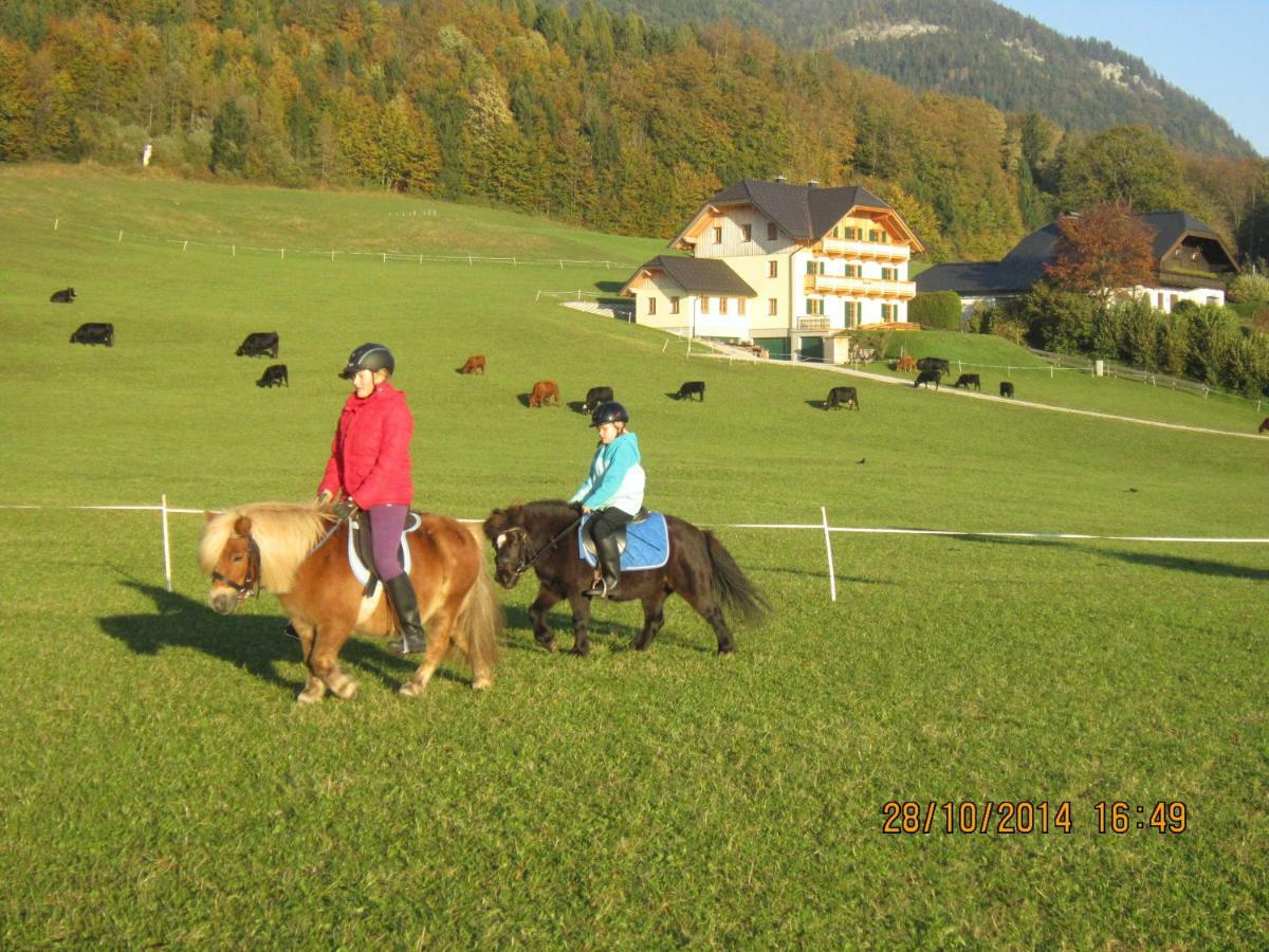 Haus Hoedlmoser Sankt Wolfgang im Salzkammergut ภายนอก รูปภาพ